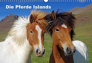 Kalender 2022: Die Pferde Islands