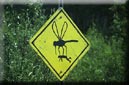 Schild